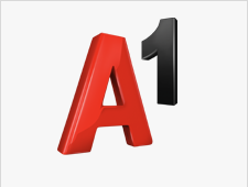 A1 Logo